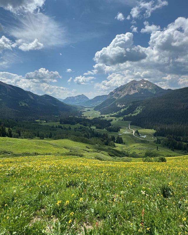 A trail winding through a wildflower valley at Crested Butte